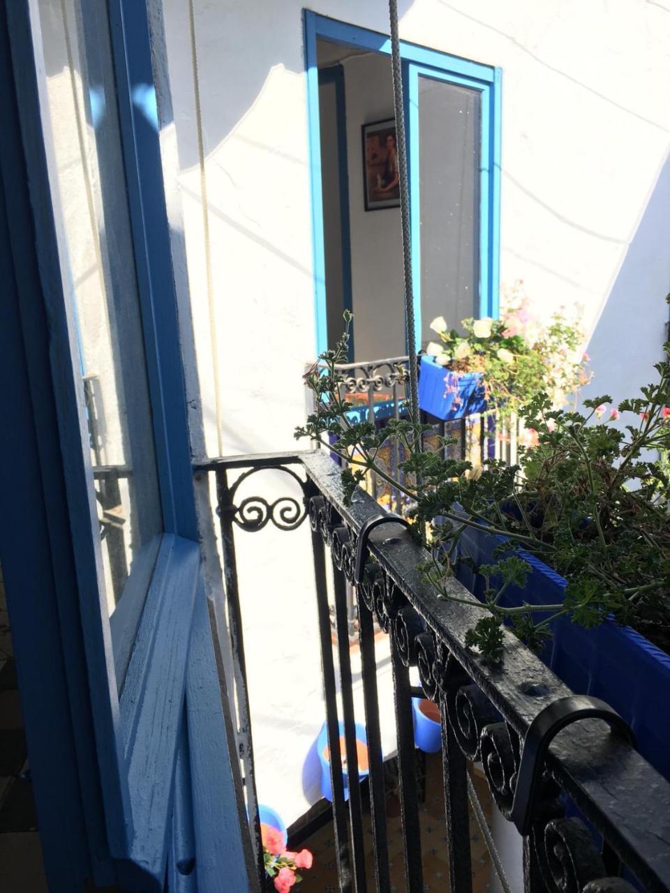 Seneca Hostel Кордова Экстерьер фото